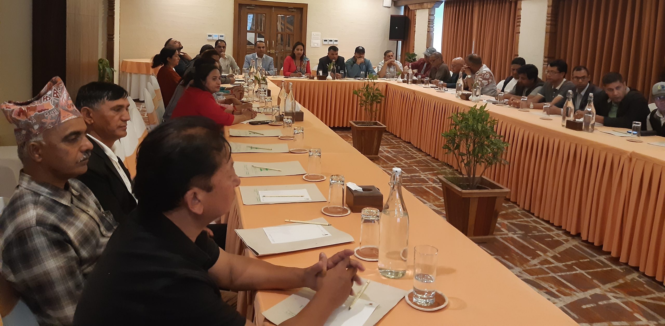 फेवा महोत्सवलाई संघसंस्थाको साथ